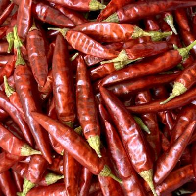 ふるさと納税 諫早市 「しげるの唐辛子」自家製唐辛子スパイス3本セット |  | 02