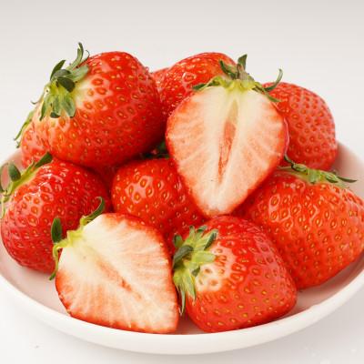 ふるさと納税 東かがわ市 【発送月固定定期便】東かがわ市 フルーツ定期便全9回 |  | 01