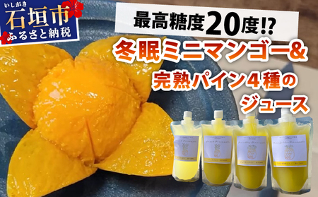 《8月以降順次発送》最高糖度20度！？冬眠ミニマンゴーと完熟パイン4種のジュース　よくばり詰め合わせ