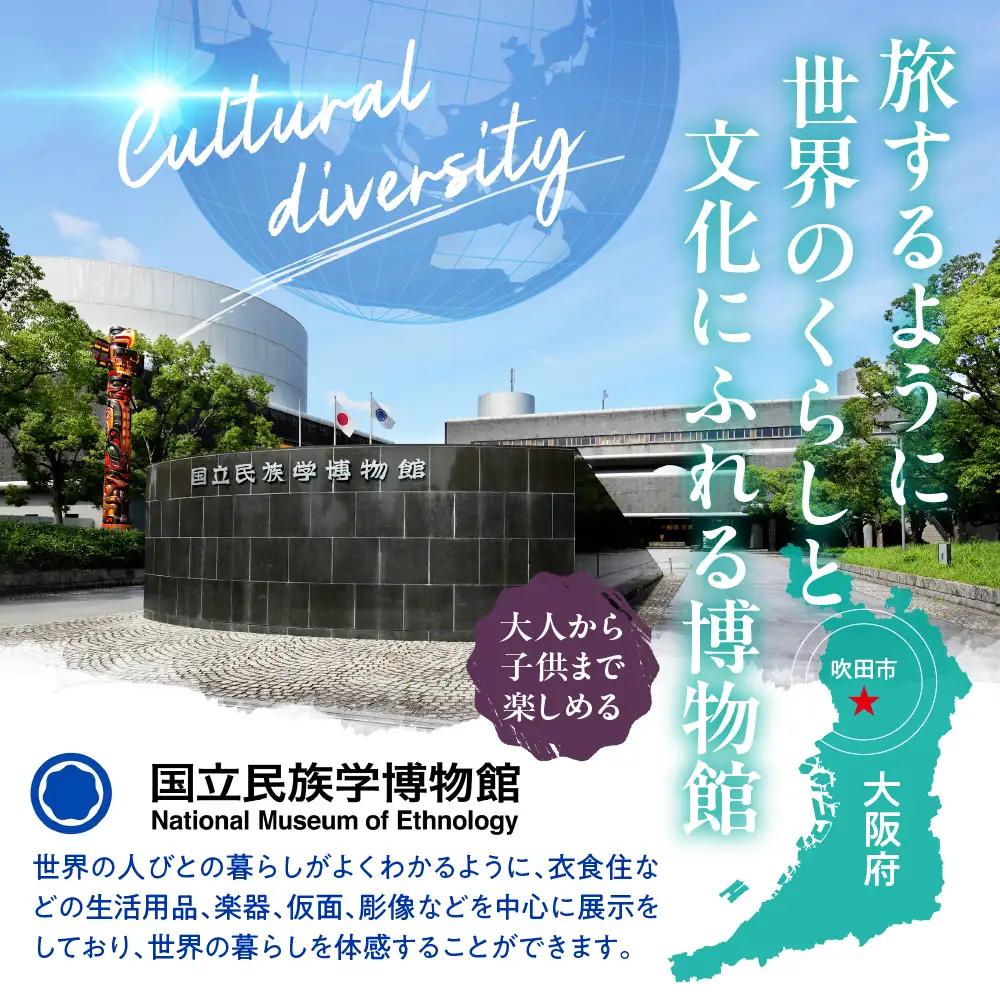 国立民族学博物館 本館展示招待券 4枚 