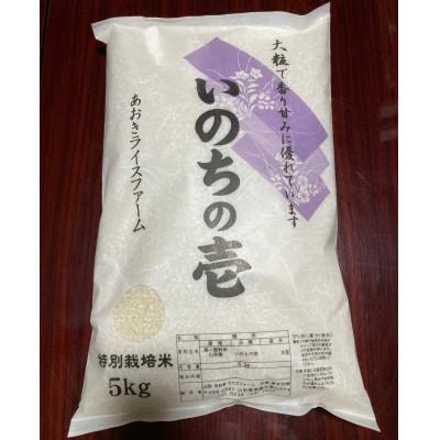 ふるさと納税 南陽市 【令和7年産】山形県産　特別栽培米　いのちの壱5kg(精米)(11月上旬以降)【S1548】