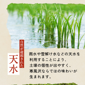 【先行予約】 米 5kg ササニシキ 精米 (11月~順次発送) お米 新米 |ne00001-5