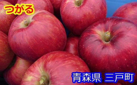 りんご【つがる】約5kg（12～20玉）【2025年産・先行予約】★2025年9月上旬～9月下旬頃まで発送予定★ 青森県三戸町産