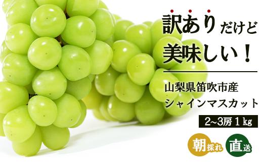 ふるさと納税 ＜2024年 先行予約＞本場 山梨 訳あり 不揃い シャイン ぶどう 葡萄 シャインマスカット 2～3房 約1kg 山梨県 笛吹市 高評価 産地直送 ランキング お取り寄せ ご自宅用 ご家庭用 ギフト プレゼント フルーツ 154-027