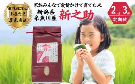 令和7年産【定期便】新之助 2kg×3ヶ月 計6kg 米・食味鑑定士お墨付き 家族みんなで愛情かけて育てた米 新潟県糸魚川産 2025年 しんのすけ 白米 百姓や伝六【米 お米 こめ 食品 人気 おすすめ ギフト 新潟県の新しいブランド米 農家直送 2キロ 精米 3回 3か月 新之助 】