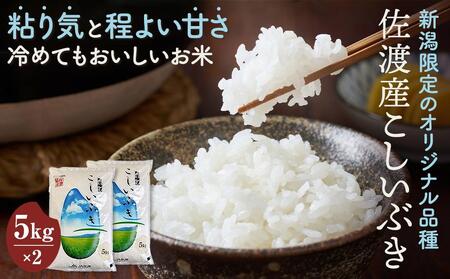 米 佐渡産 こしいぶき ( 5kg × 2 ) 【令和6年産】