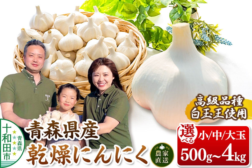 
                  青森にんにく 乾燥にんにく 農家直送  高級品種白玉王使用【選べる：サイズ（小玉／中玉／大玉）×容量（500g／800g／1kg／2kg／3kg／4kg）】 青森にんにくファーム [ニンニク 乾燥ニンニク 青森県産 国産 あおもりにんにく]
                