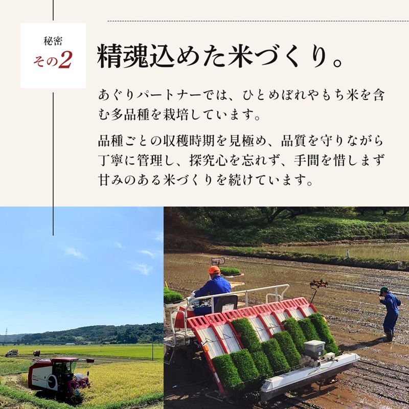 ひとめぼれ 定期便2回/5kg×1 令和7年産 宮城県産 米 精米 白