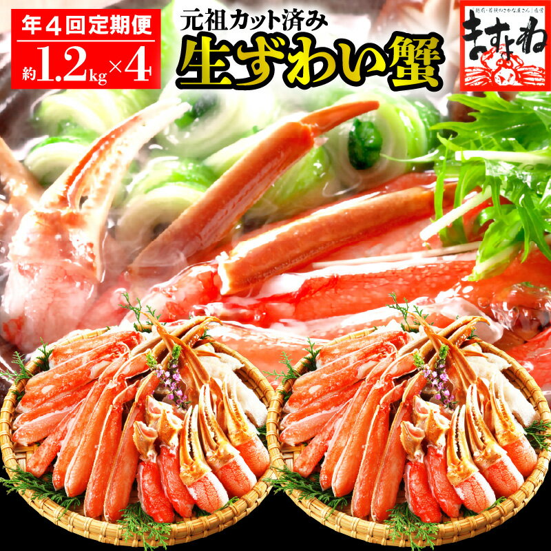 【ふるさと納税】レビューキャンペーン実施中!! 定期便 ≪年4回お届け≫ 大人気商品 元祖カット済生ずわい蟹 【約1.2kg】ますよね商店【 増米 ますよね 海鮮 ずわい蟹 ずわいガニ ズワイガニ 蟹 カニ カニしゃぶ 魚介類 先行予約】
