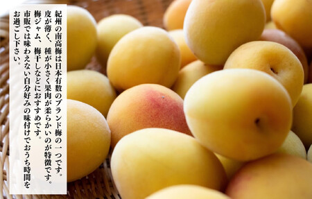 熟梅 南高梅 3kg 秀品 LまたはMサイズ 和歌山県産 A品 梅干し作り用 梅ジャム作り用