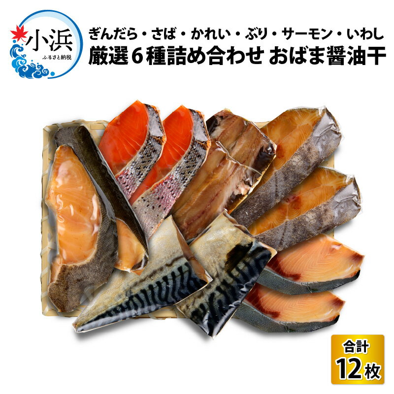 【ふるさと納税】おばま醤油干 厳選6種詰め合わせ 計12枚 (ぶり、サーモン、サバ、いわし、かれい、ぎんだら) 干物　[A-001006]