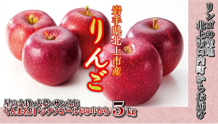 予約受付 8月上旬～発送予定【品種おまかせ】りんご 約 4.5kg セット りんご 果物 フルーツ おやつ お土産 お歳暮 お中元 お祝い 子供 ファミリー 家庭 金成園 岩手県 北上市 C0063