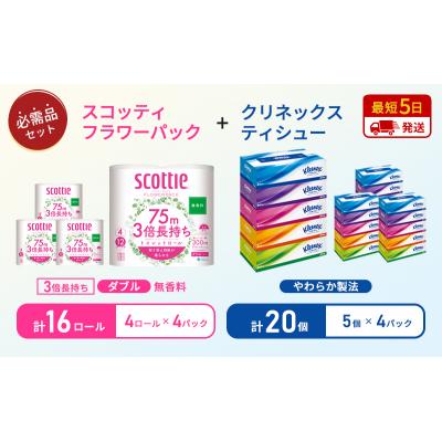 ふるさと納税 岩沼市 ティッシュ+トイレットペーパー無香料4P[No.5704-1784] |  | 01