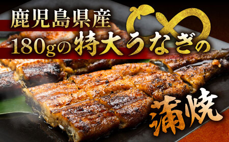 国産 本格炭火焼 特大 うなぎ 蒲焼 4尾（180g×4尾）/炭火焼古賀[UDH043]