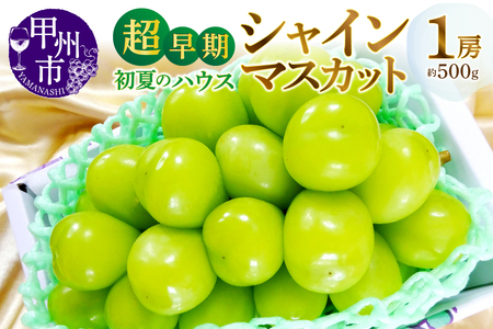 甲州市産『超早期 初夏のハウスシャインマスカット』約500g 1房【2026年発送】（MG）C-450 【シャインマスカット 葡萄 ぶどう ブドウ 令和8年発送 期間限定 山梨県産 甲州市 フルーツ 果物】
