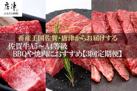 「定期便全3回」 佐賀牛 BBQや焼肉好きな方におすすめ 寄附翌月から発送 6種盛360g モモブロック800g ヒレ300g (合計1.46kg) A5～A4等級 ギフト 贈り物 アウトドア