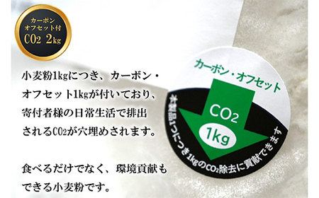 北海道下川町産強力粉はるゆたか・薄力粉きたほなみ 各1kgセット バイオ炭施用 カーボン・オフセット付 計2kg F4G-0220