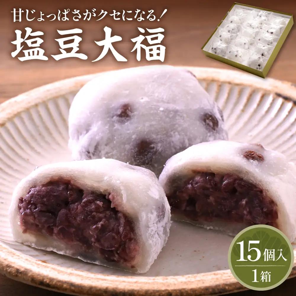 塩豆大福 15ヶ入 山形県 東根市 松扇堂提供 hi040-004 餅 もち モチ 豆 小豆 赤えんどう豆 和菓子 お菓子 餅類 ご褒美 おやつ 手作り ふるさと納税 山形県 東根市 人気