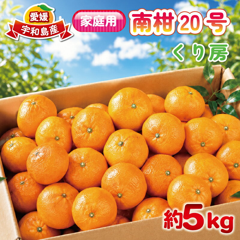 【ふるさと納税】 家庭用 南柑20号 約 5kg くり房 中生みかん なかてみかん 愛媛みかん 愛媛蜜柑 蜜柑 みかん mikan 果物 くだもの フルーツ 柑橘 数量限定 産地直送 国産 愛媛 宇和島 B012-204004