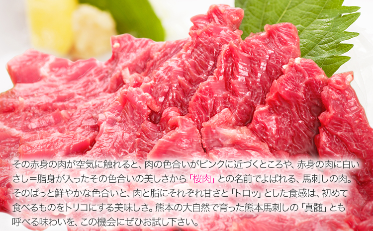 馬刺し 上赤身 ブロック 国産 熊本肥育 生食用 たれ付き(10ml×6袋) 100g×6セット 《7月中旬-9月末頃出荷》---rh_fkgakm_bc79_r7_22000_600gt---