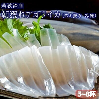 【ふるさと納税】いか 冷凍 朝どれ 3～8杯 アオリイカ スミ抜き 若狭湾産 イカ 烏賊 海鮮 秋限定 イカの王様 真空冷凍 福井県若狭町　お届け：2026年10月上旬～2027年1月上旬※漁獲状況によって出荷期間が前後する場合がございます。