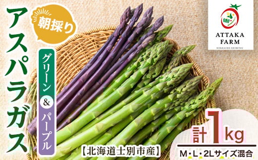 【B7108】＜特別栽培・期間限定＞北海道士別市産 アスパラ食べ比べ！グリーン＆パープル2色セット (M～2Lサイズ混合・1kg) 【2026年5月以降順次発送】野菜 アスパラガス グリーンアスパラ パープルアスパラ 北海道 北海道産 国産 産地直送 【あったかふぁーむ】
