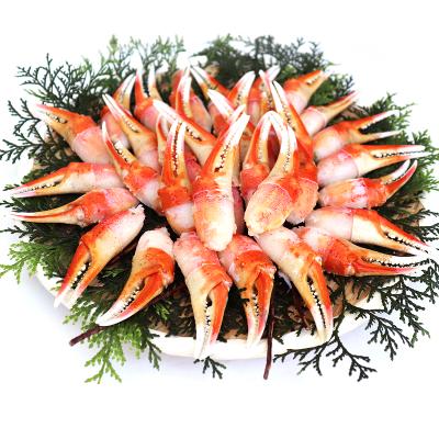 ふるさと納税 泉大津市 本ズワイ蟹ボイル爪肉　1kg |  | 01