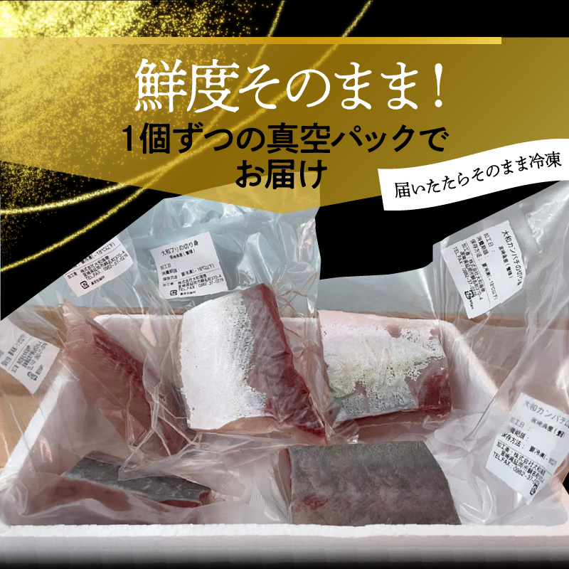 大和ブランドプレミアムSET ブリ カンパチ N072-YB1108