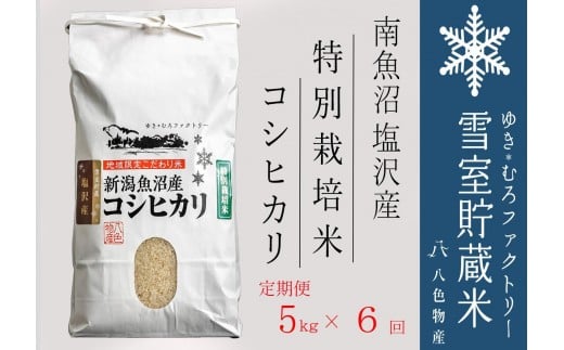 【令和７年産新米予約】特別栽培【定期便5kg×6回】 雪室貯蔵米 南魚沼塩沢産コシヒカリ【2025年10月下旬より順次発送予定】