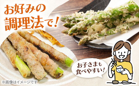 【先行予約】甘くやわらか！こだわり 夏芽 アスパラガス 約1kg【ふぁふぁふぁーむ】あすぱら 野菜 アスパラ[ICS002]