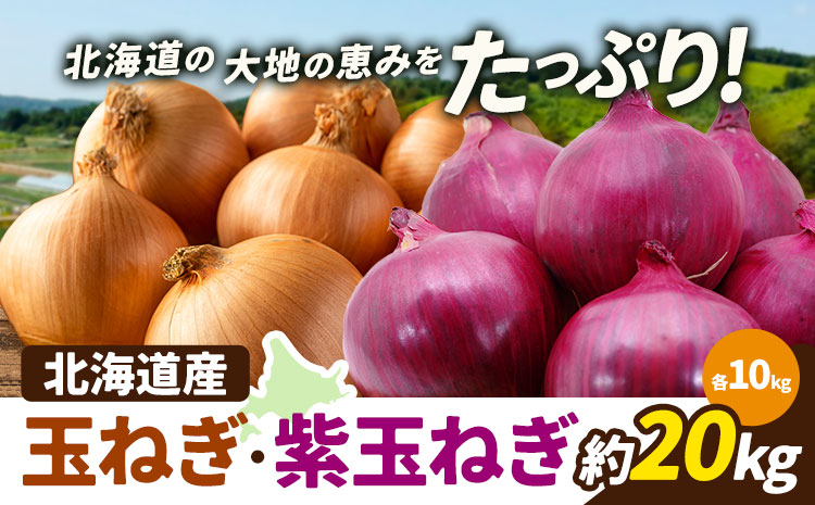 野菜 玉ねぎ・紫玉ねぎ 20kg B&T TRADING株式会社《30日以内に出荷予定(土日祝除く)》北海道 日高町 玉ねぎ 紫玉ねぎ 赤玉ねぎ 北海道産 国産 野菜 大容量 家庭用 常備野菜 サラダ