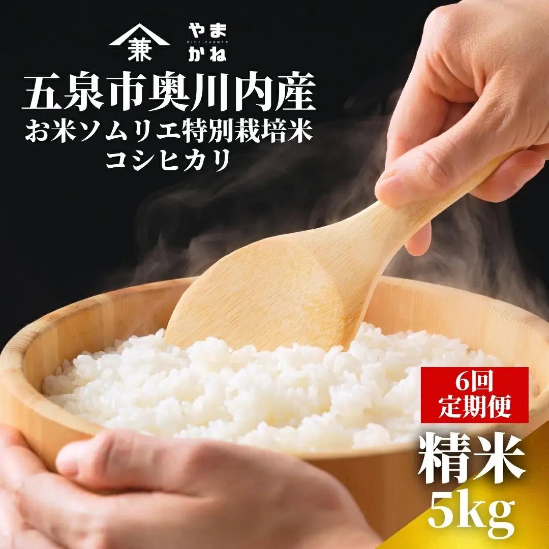 【定期便6回】令和8年産 新米 コシヒカリ 5kg×6回(計30kg) 特別栽培米 色彩選別済み 先行予約 | 新潟県産 米 五泉市