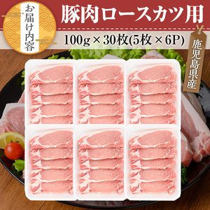 鹿児島県産 豚肉 ロース カツ セット (計30枚・5枚×6P)【TRINITY】A678