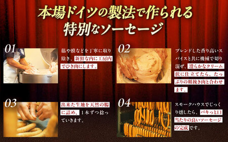 【全12回定期便】TESIOの自家製 ハム ＆ ソーセージ 『手始めTESIOセット』  BCAD009