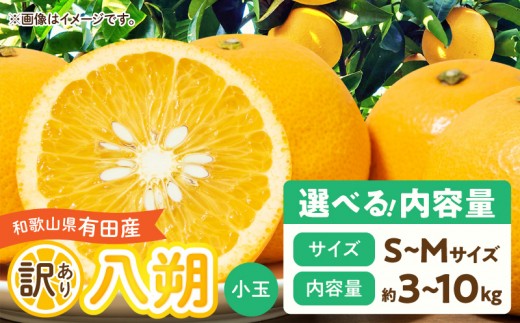 
                  【2027年先行予約】【先行予約】和歌山県有田産 八朔 小玉 訳あり はっさく 選べる 内容量 3kg 5kg 10kg サイズ S～M 完熟 甘み 増す デザート おやつ 果物 柑橘 お取り寄せ 和歌山県 湯浅町 送料無料 _DI6016n-SKU
                