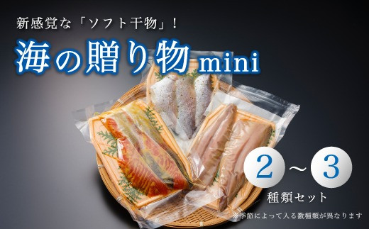 
京都 舞鶴産 干物 詰め合わせ セット 2～3種 海の贈り物 mini 盛り合わせ 季節 旬 ひもの 海鮮 魚介 おかず おつまみ 晩酌
