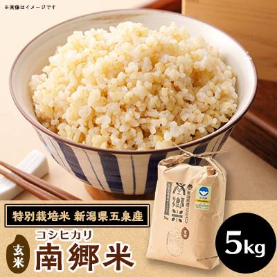 ふるさと納税 五泉市 【毎月定期便】[12回定期便]特別栽培米コシヒカリ「南郷米」玄米5kg(5kg×1袋)全12回
