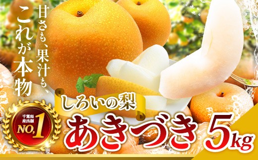 
                  【2026年先行予約】あきづき 5kg（12～16玉）しろいの梨 [ 梨 あきづき 梨 5kg 梨 千葉 梨 千葉県 和梨 なし ナシ 秋月 幸水 豊水 のいいとこどり 果物 フルーツ くだもの 旬の梨 甘い ジューシー 贈答用 白井市 白井中央梨選果場組合 ふるさと納税 ]
                