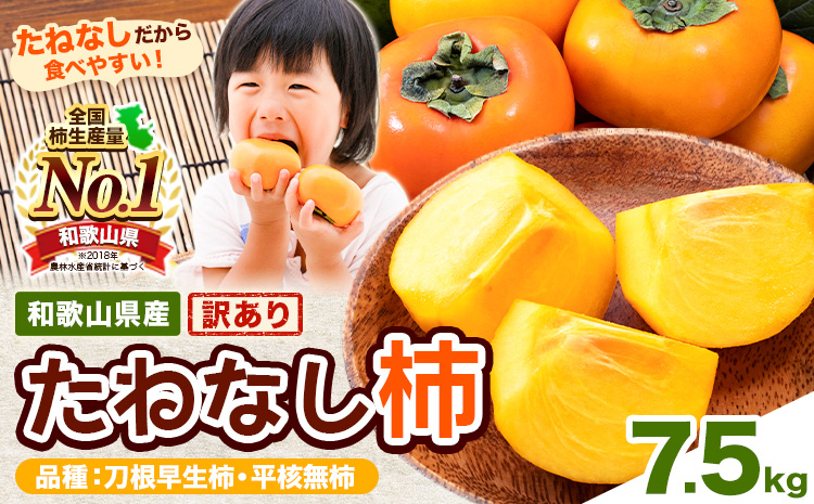 【ご家庭用/訳あり】たねなし柿 約7.5kg《2026年9月中旬-11月上旬頃より出荷予定》 和歌山県 紀の川市 柿 カキ かき ジューシー フルーツ---wfn_wlocal64_9c11j_25_