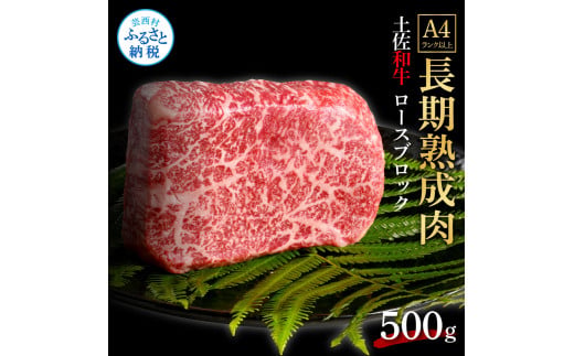 【CF-R5oka】 エイジング工法熟成肉土佐和牛特選ロースブロック500g（冷凍）