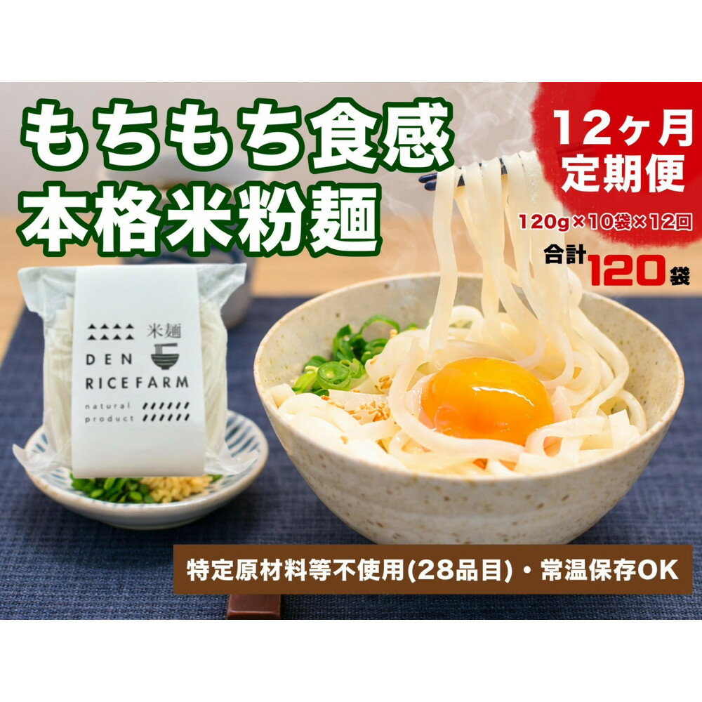 【ふるさと納税】【定期便】【12ヶ月連続お届け】グルテンフリー 無添加 米麺 120g 10個セット（白米麺10個）｜米粉 うどん 焼きそば パスタ 麺