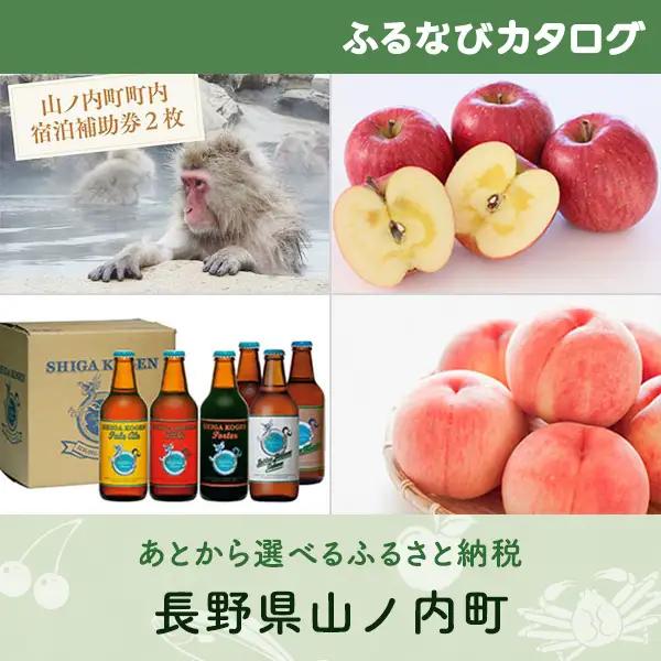 【有効期限なし！後からゆっくり特産品を選べる】長野県山ノ内町カタログポイント
