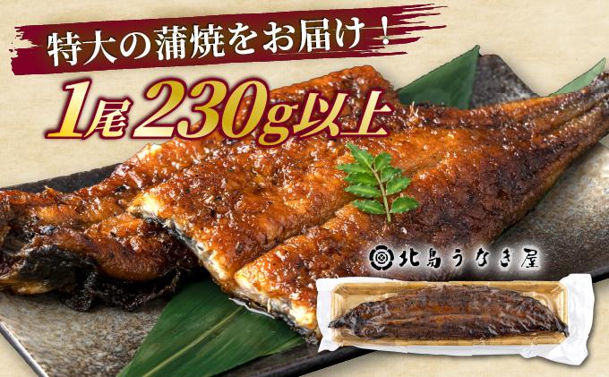 うなぎの特大蒲焼（2尾）230g以上×2尾　AE04