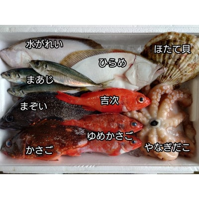 三陸宮古の活き活き鮮魚詰合せ【配送不可地域：離島・沖縄県・九州】【1349436】