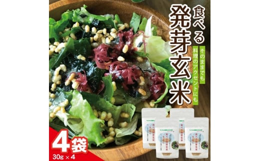 【ちっちゃな農家の大きな夢】 手軽に玄米を！ 食べる発芽玄米 30g×4袋 SZ0211