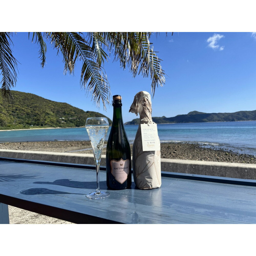 【ふるさと納税】tlass SEA CELLAR -2025 2nd Edition- 海底熟成前後飲み比べスパークリング 750ml×2本