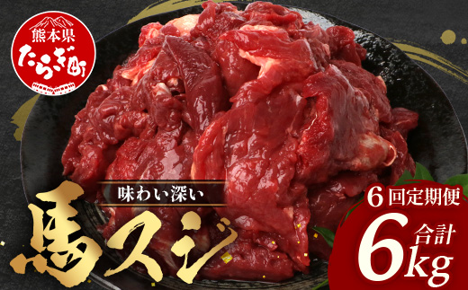 【 定期便 6回 】 熊本県 馬スジ 1kg（ 500g×2 ） × 6回 【 合計 6kg 】 【 馬肉 すじ肉 大容量 本場 熊本県 馬 赤身 煮込み カレー シチュー 冷凍 真空 熊本 肥育 ヘルシー 赤身 肉 高栄養 肉 】 041-0159