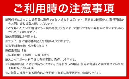 【一般の方向け】飛行体験 モーターグライダー 20分 または グライダー 約20分 株式会社日本モーターグライダークラブ《30日以内に出荷予定(土日祝除く)》茨城県 河内町 スカイスポーツ 大利根飛行