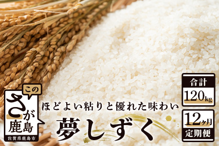 定期便 12ヶ月 佐賀県産 夢しずく 白米 10kg《12ヶ月連続 毎月お届け》S-3 12回