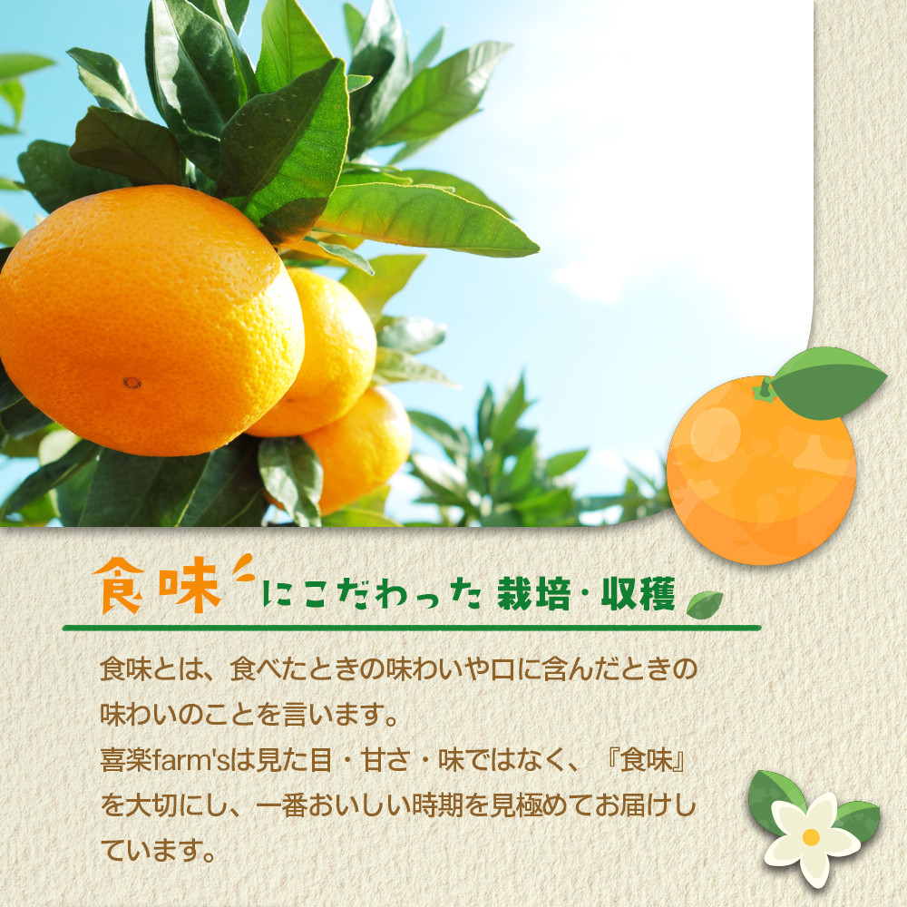 【産地直送】☆有田みかん☆サイズ不揃い☆10kg    AL05_イメージ2